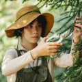 Preserving Scottsdale's Greenery: The Importance Of Tree Care & Tree Relocation