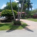 How To Safely And Successfully Relocate Trees In Pembroke Pines, FL With Expert Tree Service