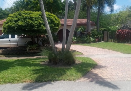 How To Safely And Successfully Relocate Trees In Pembroke Pines, FL With Expert Tree Service
